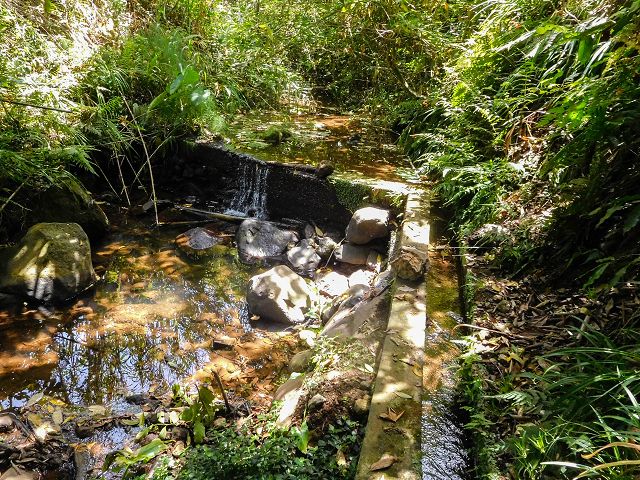 13 August 2017 Levada discoveries around Santana and a detour to Ponta do Clerigo — Descent from the Estrada de Santo Antonio to the Levada de Santo Antonio inf. 1, to the Madre and to the end — photo 2