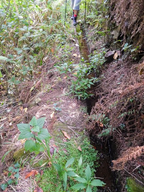 13 August 2017 Levada discoveries around Santana and a detour to Ponta do Clerigo — Descent from the Estrada de Santo Antonio to the Levada de Santo Antonio inf. 1, to the Madre and to the end — photo 7