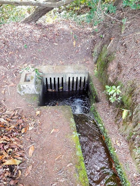 Levada do Cortado — Verrohrter Abschnitt und Umgehung — Foto 1