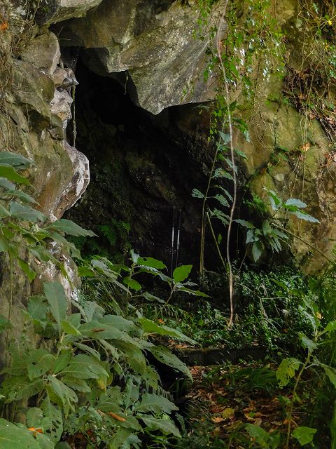 Levada do Cantinho — Der östliche Ast im Tal der Ribeira de Santo Antonio — Foto 4