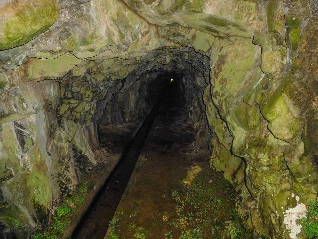 Levada do Cantinho — Der östliche Ast im Tal der Ribeira de Santo Antonio — Foto 5