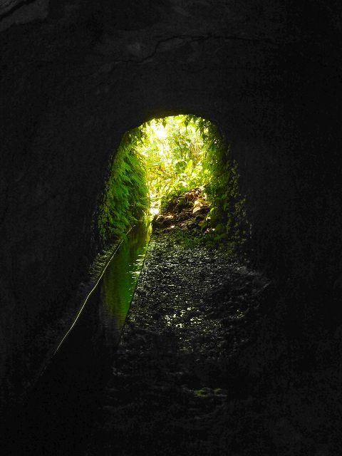 Levada do Cantinho — Der östliche Ast im Tal der Ribeira de Santo Antonio — Foto 6