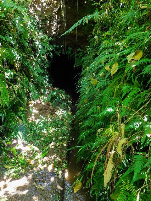 Levada do Cantinho — Der östliche Ast im Tal der Ribeira de Santo Antonio — Foto 7