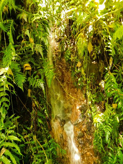 Levada do Cantinho — Der östliche Ast im Tal der Ribeira de Santo Antonio — Foto 8