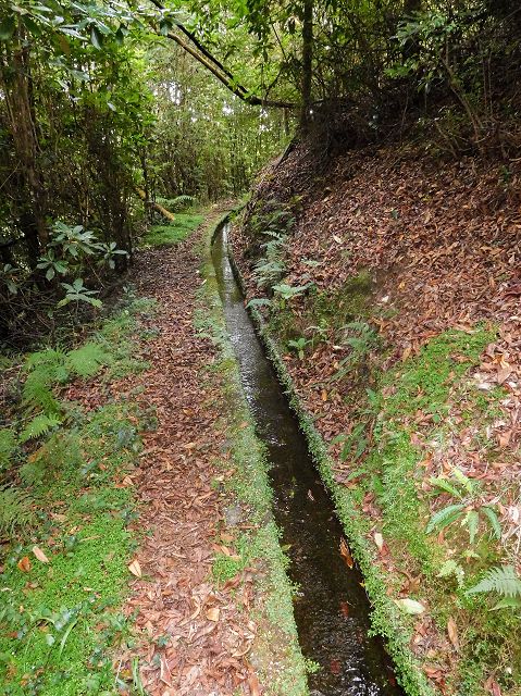 13 August 2017 Levada discoveries around Santana and a detour to Ponta do Clerigo — From the end of the branch off the Levada de Santo Antonio inf. 2 onto the main branch and against the flow to the descent path to the Ribeira dos Pregos, Madre of the western branch of the Levada do Cantinho — photo 2