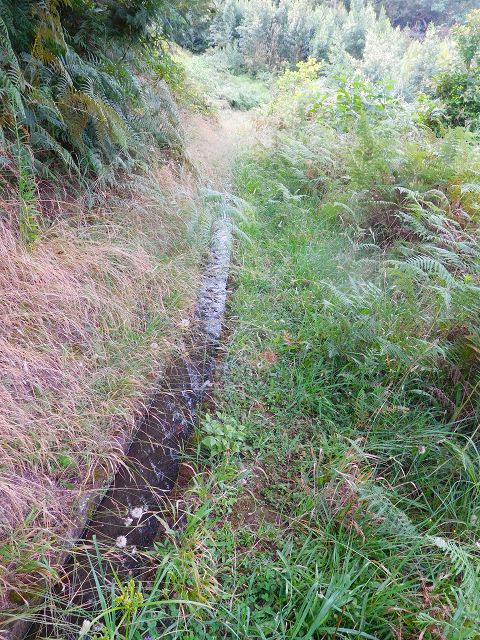 13 August 2017 Levada discoveries around Santana and a detour to Ponta do Clerigo — From the end of the branch off the Levada de Santo Antonio inf. 2 onto the main branch and against the flow to the descent path to the Ribeira dos Pregos, Madre of the western branch of the Levada do Cantinho — photo 3