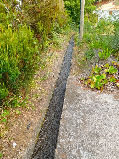 13 August 2017 Levada discoveries around Santana and a detour to Ponta do Clerigo — From the end of the branch off the Levada de Santo Antonio inf. 2 onto the main branch and against the flow to the descent path to the Ribeira dos Pregos, Madre of the western branch of the Levada do Cantinho — photo 4