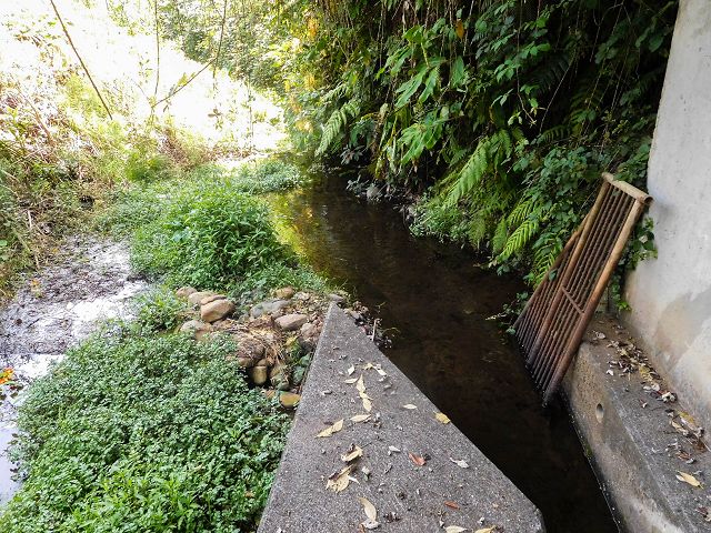 Levada do Cantinho — Der westliche Ast in Tal der Ribeira dos Pregos — Foto 1