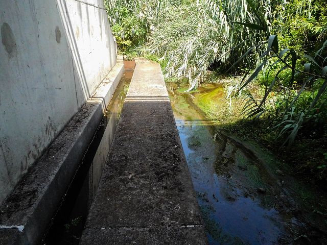 Levada do Cantinho — Der westliche Ast in Tal der Ribeira dos Pregos — Foto 3