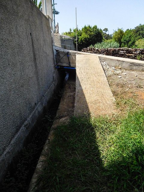 Levada do Cantinho — Der westliche Ast in Tal der Ribeira dos Pregos — Foto 4