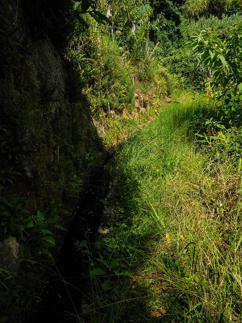 Levada do Cantinho — Der westliche Ast in Tal der Ribeira dos Pregos — Foto 6