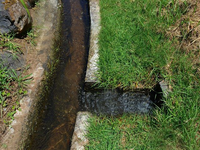 13 August 2017 Levada discoveries around Santana and a detour to Ponta do Clerigo — On the western branch of the Levada do Cantinho to the junction with the eastern branch (pipe) — photo 7