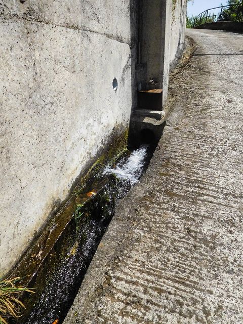 13 August 2017 Levada discoveries around Santana and a detour to Ponta do Clerigo — Back to the Levada de Santo Antonio inf. 2 and beside it against the flow, until it emerges from private land — photo 1