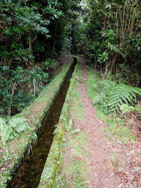 13 August 2017 Levada discoveries around Santana and a detour to Ponta do Clerigo — From Cortado to the Madre of the Levada do Cortado and back to the crossing with the ER-213 — photo 18