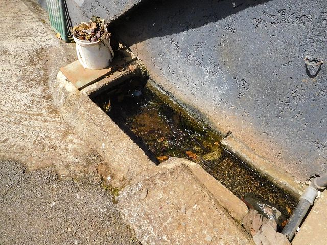 13 August 2017 Levada discoveries around Santana and a detour to Ponta do Clerigo — Back to the Levada de Santo Antonio inf. 2 and beside it against the flow, until it emerges from private land — photo 2