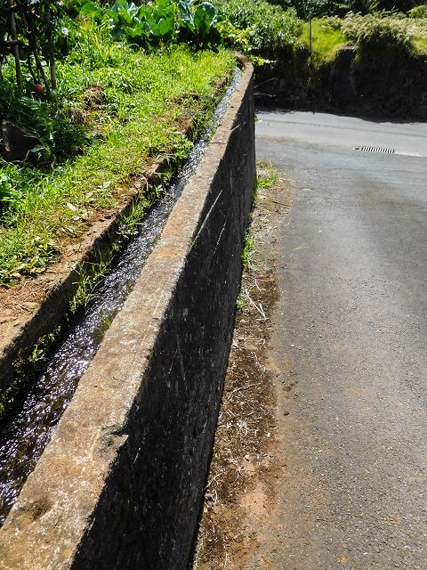 13 August 2017 Levada discoveries around Santana and a detour to Ponta do Clerigo — On the Estrada de Santo Antonio and along the Levada de Santo Antonio — photo 2