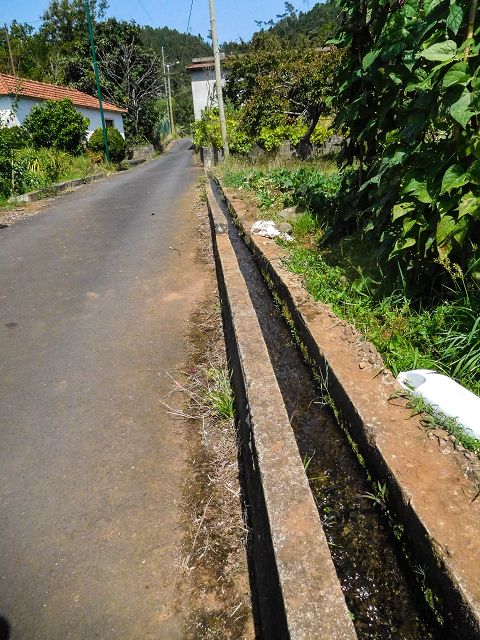 13 August 2017 Levada discoveries around Santana and a detour to Ponta do Clerigo — On the Estrada de Santo Antonio and along the Levada de Santo Antonio — photo 3