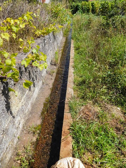 13 August 2017 Levada discoveries around Santana and a detour to Ponta do Clerigo — On the Estrada de Santo Antonio and along the Levada de Santo Antonio — photo 4