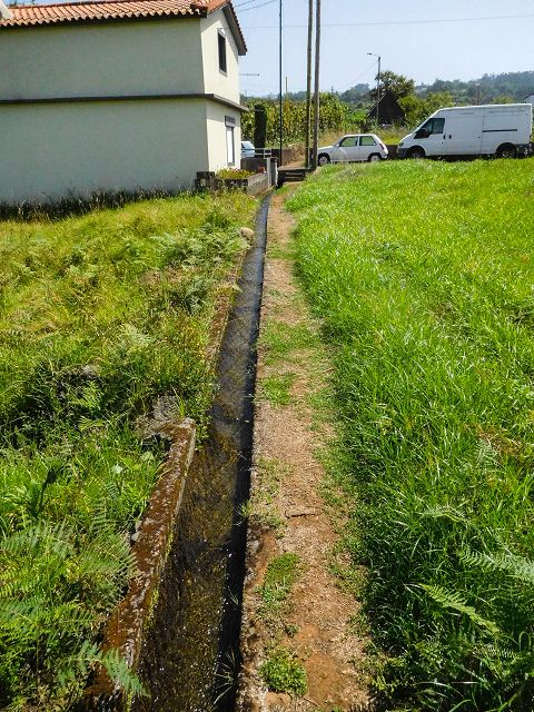 13 August 2017 Levada discoveries around Santana and a detour to Ponta do Clerigo — On the Estrada de Santo Antonio and along the Levada de Santo Antonio — photo 7