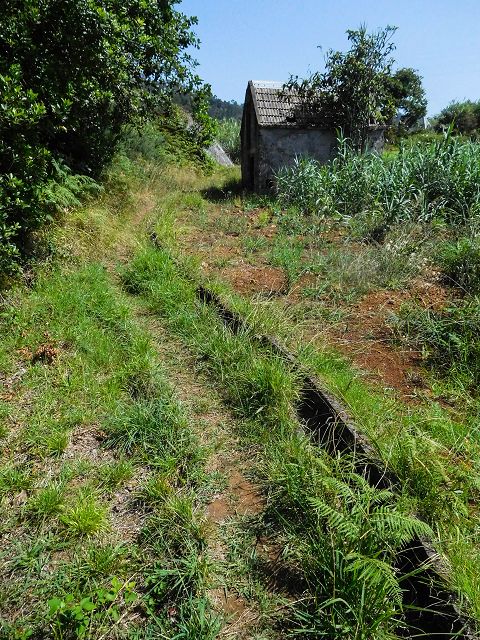 13 August 2017 Levada discoveries around Santana and a detour to Ponta do Clerigo — On the Estrada de Santo Antonio and along the Levada de Santo Antonio — photo 8