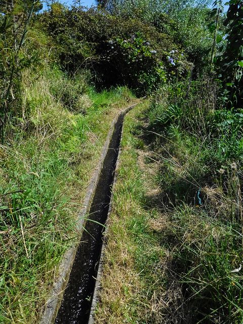 13 August 2017 Levada discoveries around Santana and a detour to Ponta do Clerigo — On the Estrada de Santo Antonio and along the Levada de Santo Antonio — photo 9