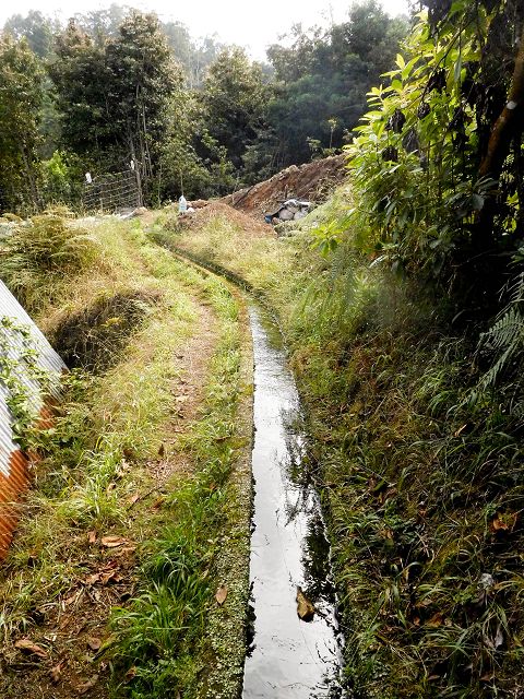 13 August 2017 Levada discoveries around Santana and a detour to Ponta do Clerigo — From Cortado to the Madre of the Levada do Cortado and back to the crossing with the ER-213 — photo 19