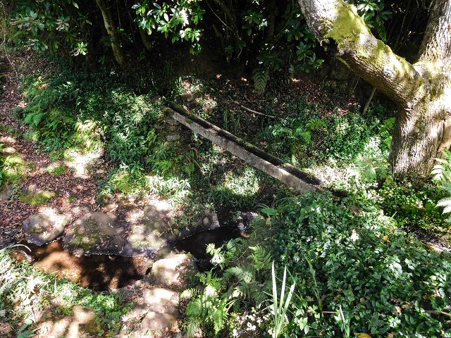 13 August 2017 Levada discoveries around Santana and a detour to Ponta do Clerigo — Levada de Lamaceiros — photo 1