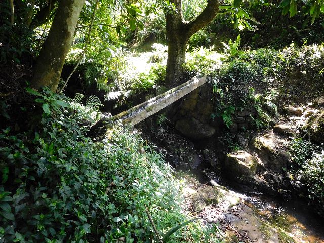 13 August 2017 Levada discoveries around Santana and a detour to Ponta do Clerigo — Levada de Lamaceiros — photo 4