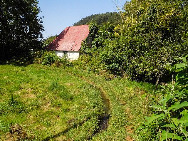 13 August 2017 Levada discoveries around Santana and a detour to Ponta do Clerigo — Levada de Lamaceiros — photo 5