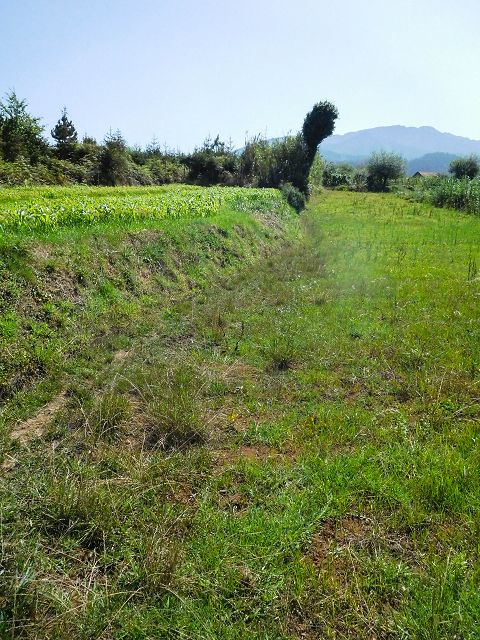 Levada de Santo Antonio — Secção 3 — foto 1