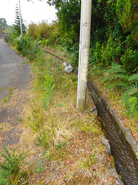 Levada do Cortado — Weiter bis zur Kreuzung mit der ER-213 — Foto 7