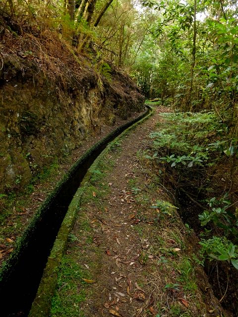 13 August 2017 Levada discoveries around Santana and a detour to Ponta do Clerigo — From Cortado to the Madre of the Levada do Cortado and back to the crossing with the ER-213 — photo 20