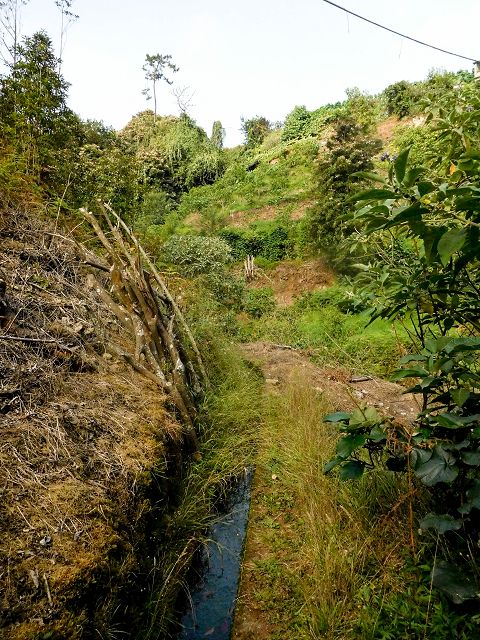 13 August 2017 Levada discoveries around Santana and a detour to Ponta do Clerigo — From Cortado to the Madre of the Levada do Cortado and back to the crossing with the ER-213 — photo 22