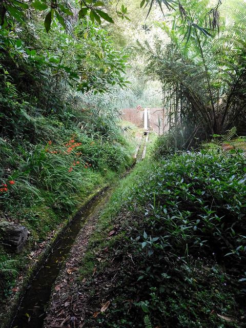 Levada do Cortado — Madre und erste 100 Meter — Foto 6