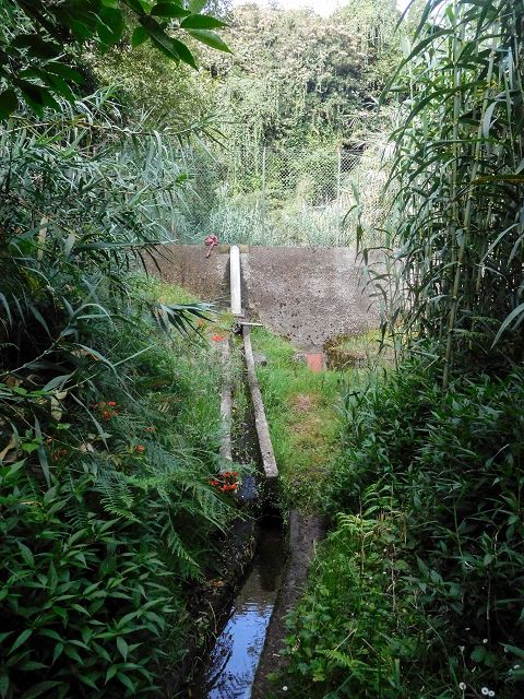Levada do Cortado — Madre und erste 100 Meter — Foto 5