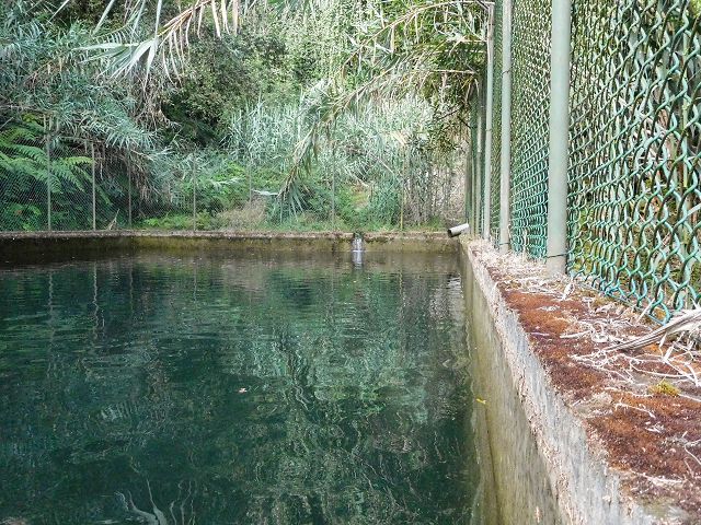 Levada do Cortado — Madre und erste 100 Meter — Foto 4