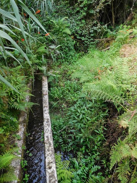 Levada do Cortado — Madre und erste 100 Meter — Foto 1