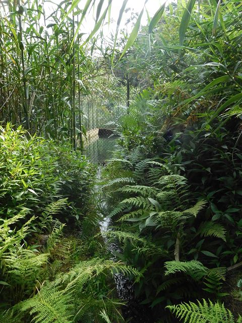 Levada do Cortado — Madre und erste 100 Meter — Foto 2