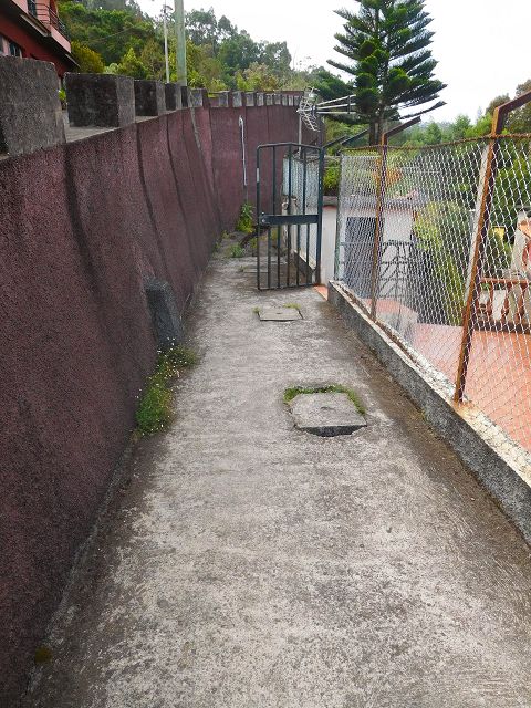 13 August 2017 Levada discoveries around Santana and a detour to Ponta do Clerigo — From Cortado to the Madre of the Levada do Cortado and back to the crossing with the ER-213 — photo 3
