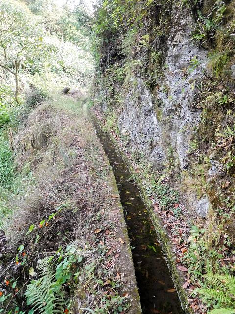13 August 2017 Levada discoveries around Santana and a detour to Ponta do Clerigo — From Cortado to the Madre of the Levada do Cortado and back to the crossing with the ER-213 — photo 30