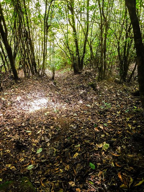 Levada do Cortado — Verrohrter Abschnitt und Umgehung — Foto 3