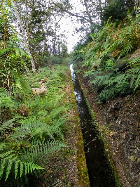 Levada do Cortado — Weiter bis zur Kreuzung mit der ER-213 — Foto 1