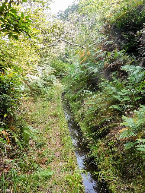 Levada do Cortado — Weiter bis zur Kreuzung mit der ER-213 — Foto 2