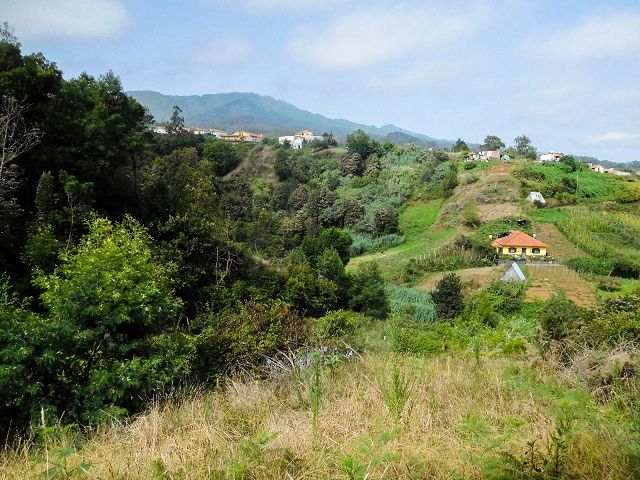 13 August 2017 Levada discoveries around Santana and a detour to Ponta do Clerigo — From Cortado to the Madre of the Levada do Cortado and back to the crossing with the ER-213 — photo 43
