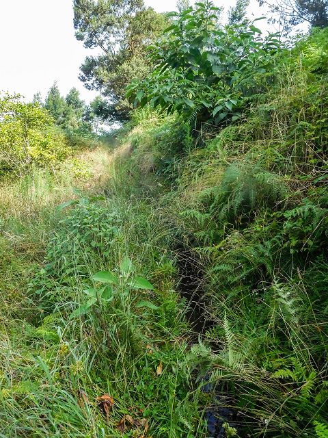 Levada do Cortado — Weiter bis zur Kreuzung mit der ER-213 — Foto 3