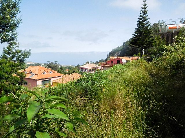 13 August 2017 Levada discoveries around Santana and a detour to Ponta do Clerigo — From Cortado to the Madre of the Levada do Cortado and back to the crossing with the ER-213 — photo 49