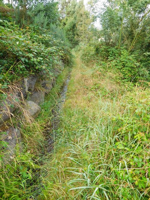 13 August 2017 Levada discoveries around Santana and a detour to Ponta do Clerigo — From Cortado to the Madre of the Levada do Cortado and back to the crossing with the ER-213 — photo 5