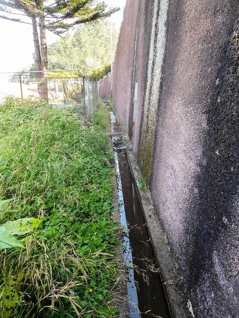 Levada do Cortado — Weiter bis zur Kreuzung mit der ER-213 — Foto 6