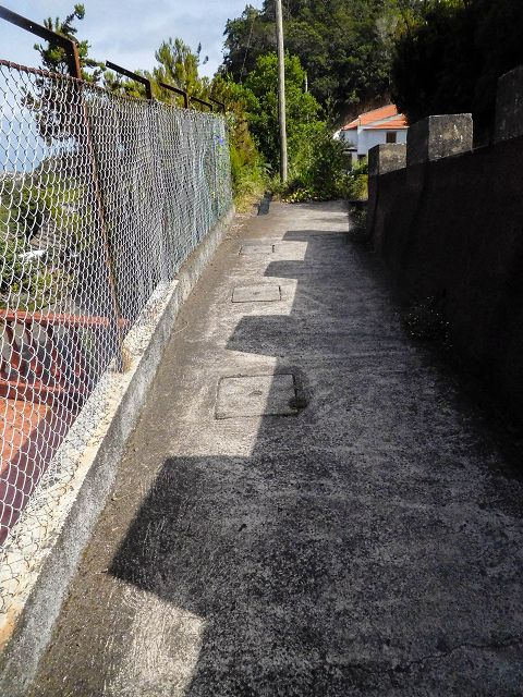 13 August 2017 Levada discoveries around Santana and a detour to Ponta do Clerigo — From Cortado to the Madre of the Levada do Cortado and back to the crossing with the ER-213 — photo 51