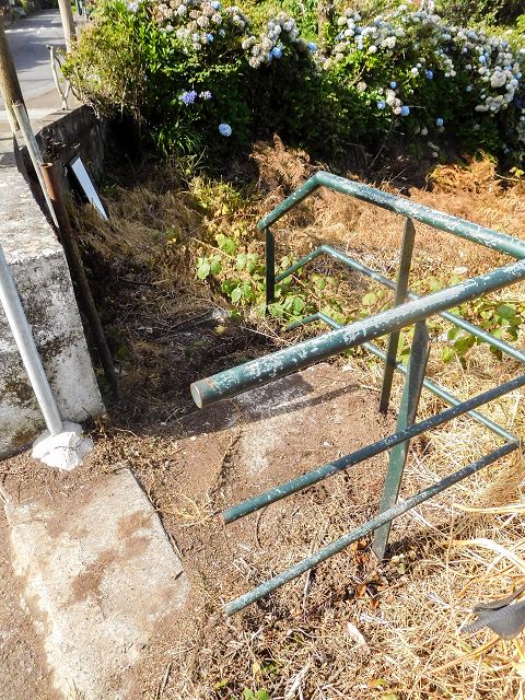 13 August 2017 Levada discoveries around Santana and a detour to Ponta do Clerigo — From Cortado to the Madre of the Levada do Cortado and back to the crossing with the ER-213 — photo 52